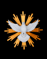 ESPIRITO SANTO