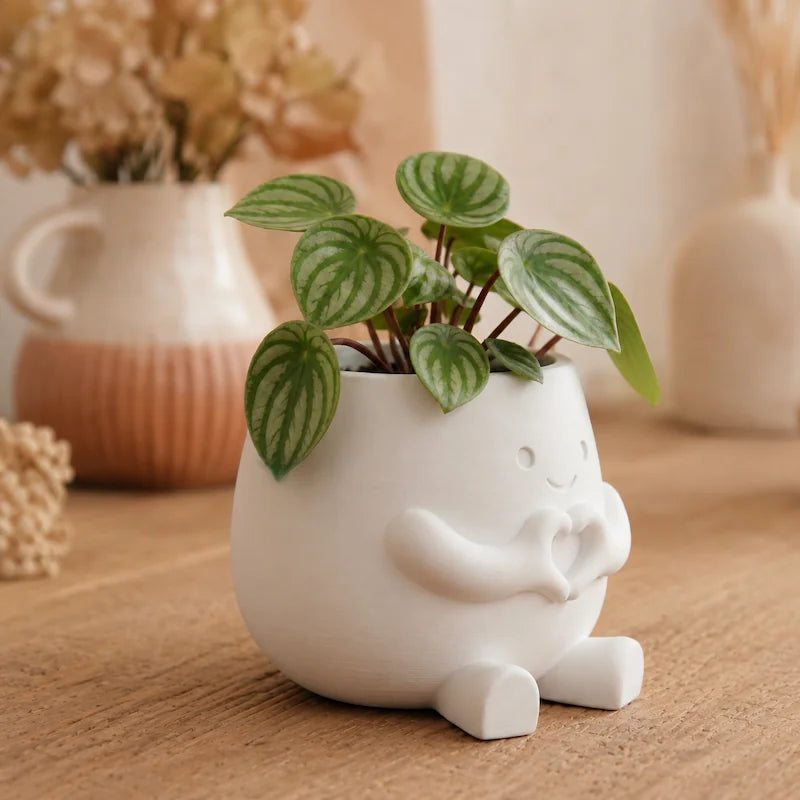 Vaso Decorativo para Sala Abraço