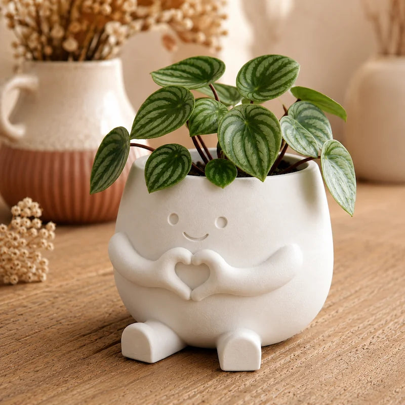 Vaso Decorativo para Sala Abraço
