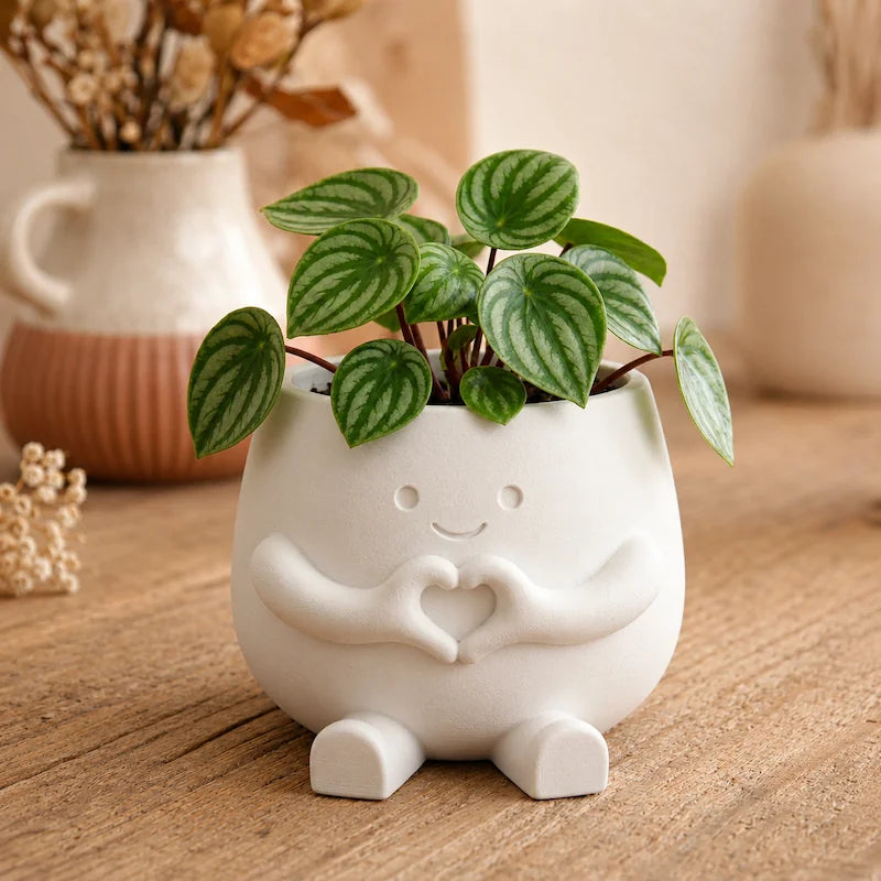 Vaso Decorativo para Sala Abraço