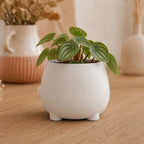 Vaso Decorativo para Sala Abraço